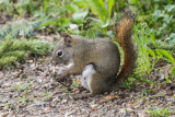 low res _MG_4142.jpg
