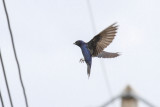 low res _MG_4338.jpg