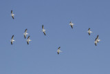 low res _MG_4408.jpg