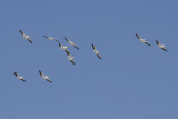 low res _MG_4410.jpg