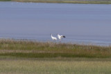 low res _MG_4418.jpg