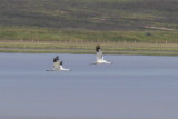 low res _MG_4423.jpg
