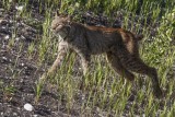 low res _MG_4449.jpg
