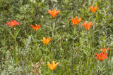 low res _MG_4520.jpg