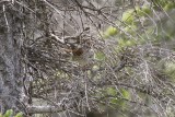 low res _MG_4528.jpg