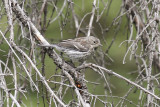 low res _MG_4556.jpg