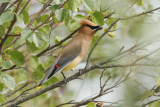 low res _MG_4574.jpg