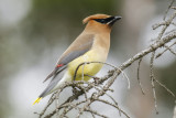 low res _MG_4586.jpg