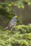 low res _MG_4592.jpg