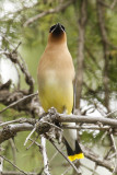 low res _MG_4603.jpg