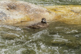 low res _MG_4610.jpg