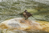 low res _MG_4619.jpg