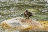 low res _MG_4620.jpg