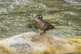low res _MG_4624.jpg