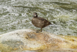 low res _MG_4627.jpg