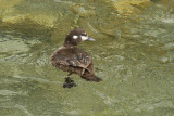 low res _MG_4634.jpg