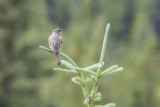 low res _MG_4642.jpg
