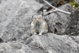 low res _MG_4652.jpg