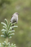 low res _MG_4659.jpg