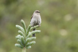 low res _MG_4660.jpg