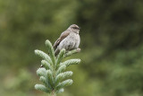 low res _MG_4666.jpg