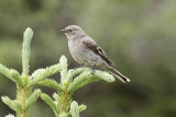 low res _MG_4674.jpg