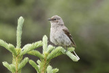 low res _MG_4679.jpg