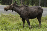 low res _MG_4765.jpg