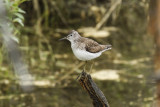 low res _MG_4780.jpg