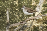 low res _MG_4789.jpg