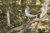 low res _MG_4796.jpg