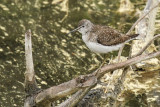 low res _MG_4797.jpg