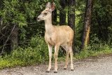 low res _MG_4810.jpg