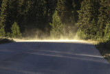 low res _MG_4815.jpg