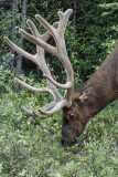 low res _MG_4828.jpg