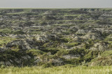 low res _MG_3524 edit.jpg