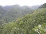 low res Monte del Agua not reduced.jpg
