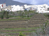 low res The Pyramids at Guimar not reduced.jpg
