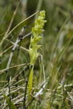 low res _MG_5807.jpg