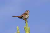 low res _MG_5816.jpg