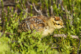 low res _MG_5929.jpg