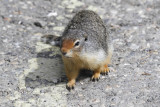 low res _MG_5978.jpg