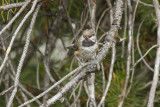 low res _MG_6014.jpg