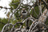 low res _MG_6020.jpg