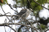 low res _MG_6029.jpg
