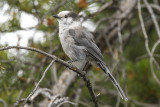 low res _MG_6040.jpg