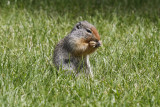low res _MG_6074.jpg