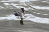 low res _MG_6234.jpg