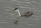 low res _MG_6242.jpg