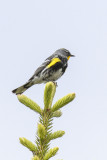 low res _MG_6276.jpg